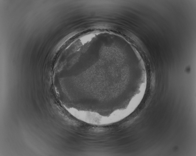 X0000115660829200912241357