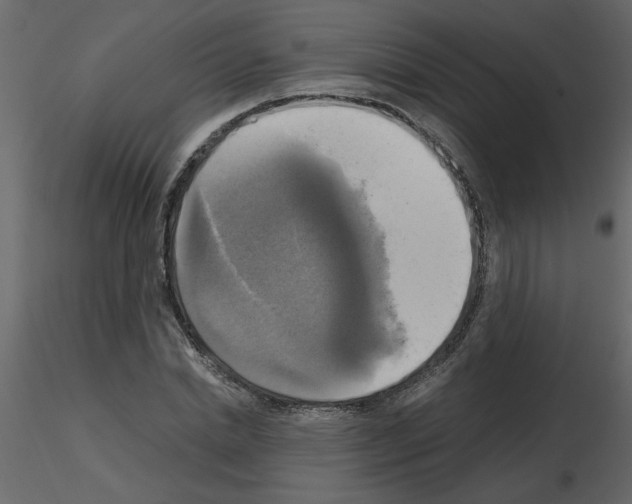 X0000115660830200912241357