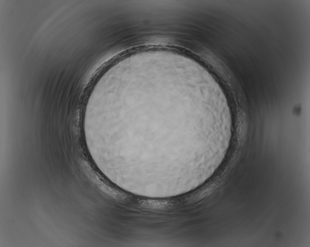 X0000115660831200912241357