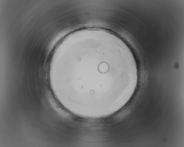 X0000115660832200912241357