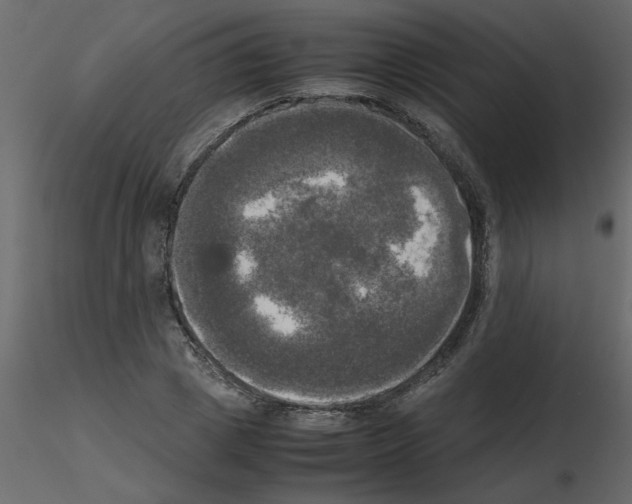 X0000115660833200912241357