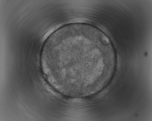 X0000115660834200912241357