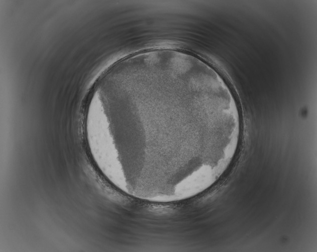 X0000115660835200912241357