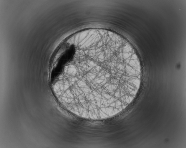 X0000115660837200912241357