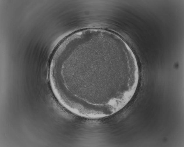 X0000115660838200912241357