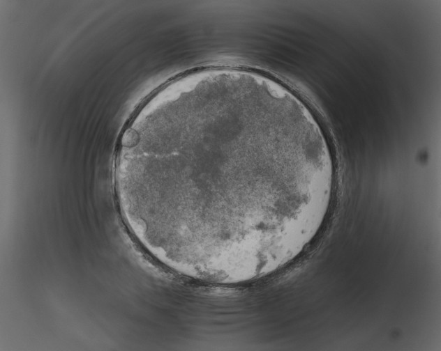 X0000115660839200912241357