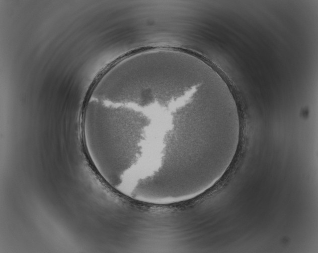 X0000115660840200912241357