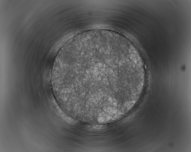 X0000115660841200912241357