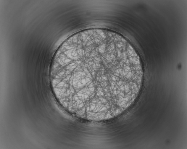 X0000115660842200912241357