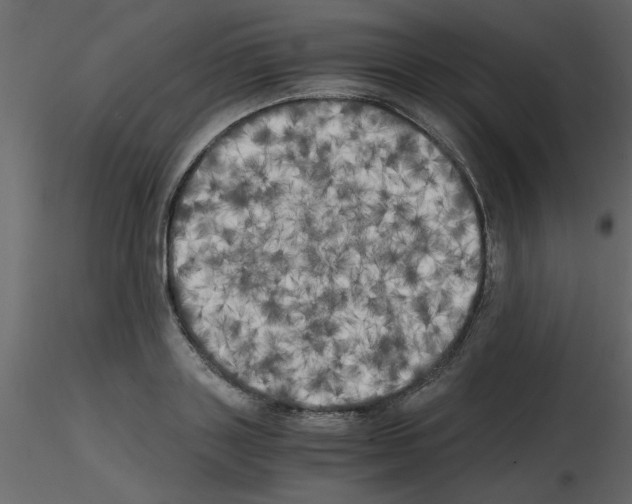 X0000115660843200912241357