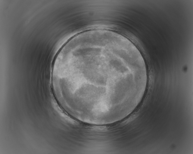 X0000115660844200912241357