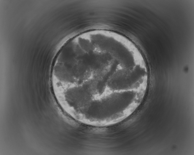 X0000115660845200912241357