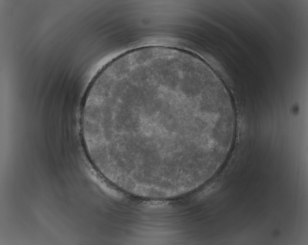 X0000115660846200912241357