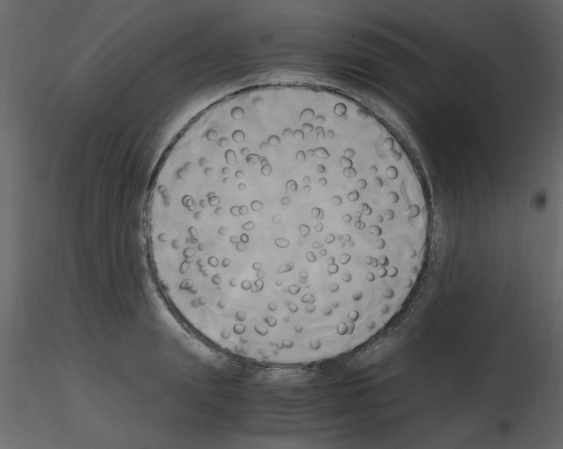 X0000115660847200912241357