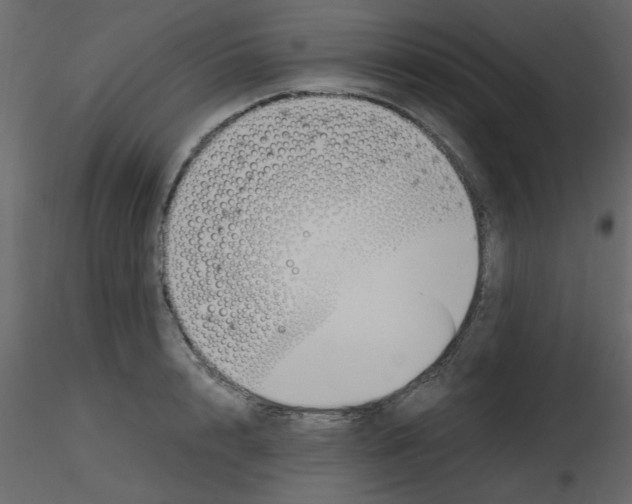 X0000115660848200912241357