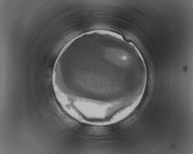 X0000115660849200912241357