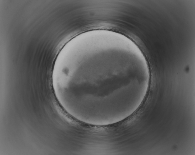 X0000115660850200912241357