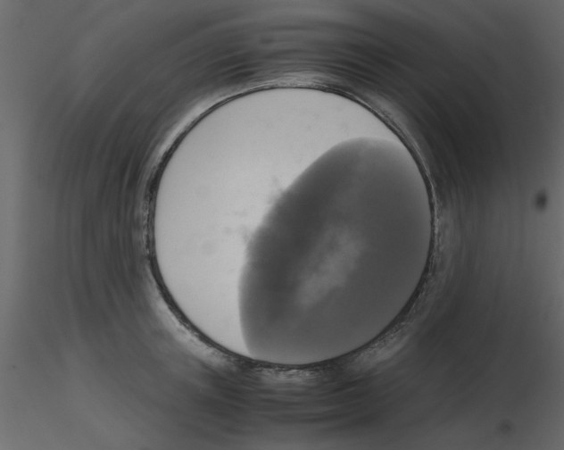 X0000115660851200912241357