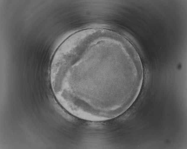 X0000115660852200912241357