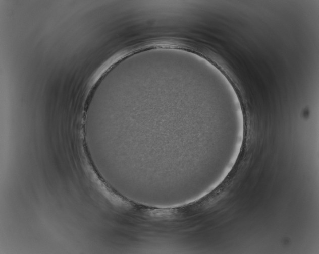 X0000115660853200912241357