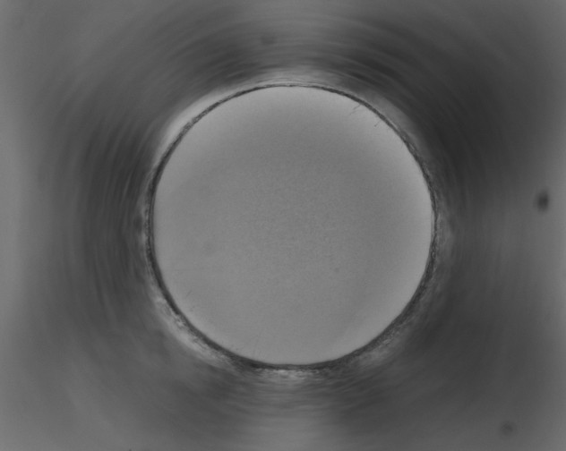 X0000115660854200912241357