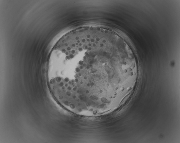 X0000115660855200912241357