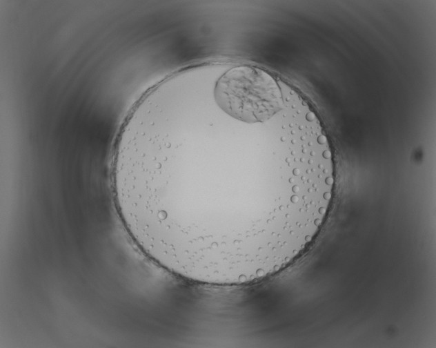 X0000115660856200912241357