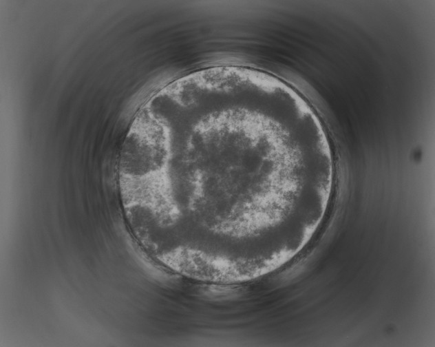 X0000115660857200912241357