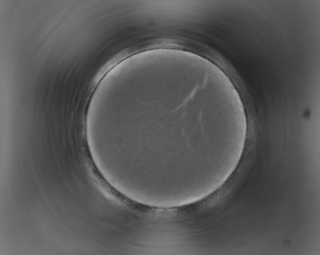 X0000115660858200912241357