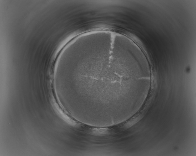 X0000115660859200912241357