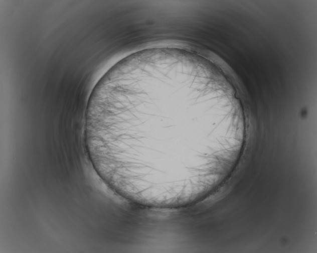 X0000115660860200912241357