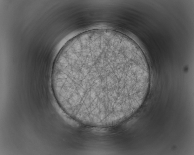 X0000115660861200912241357