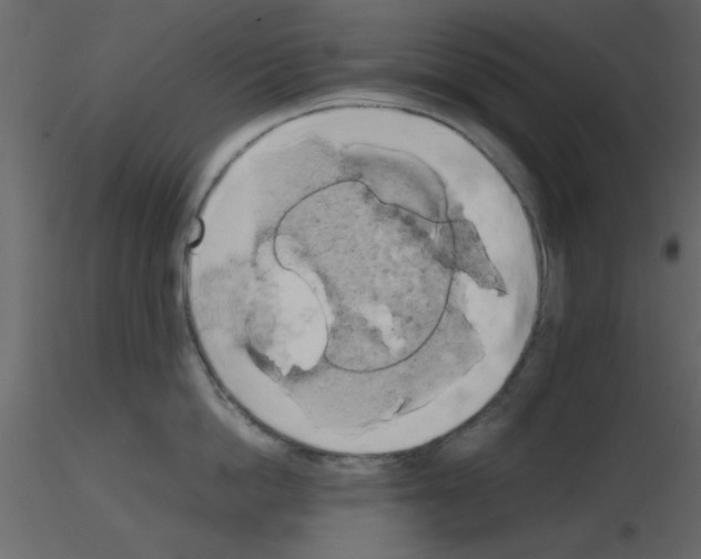 X0000115660862200912241357