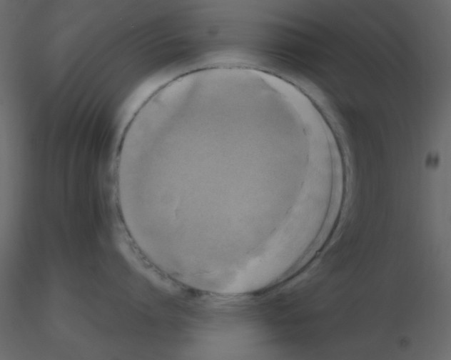 X0000115660864200912241357