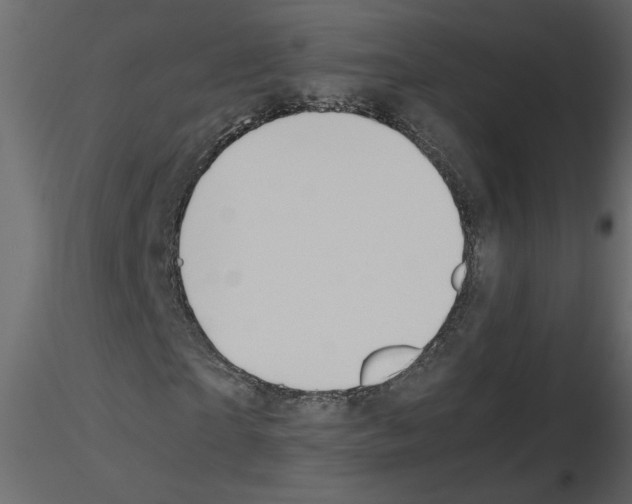 X0000115660865200912241357