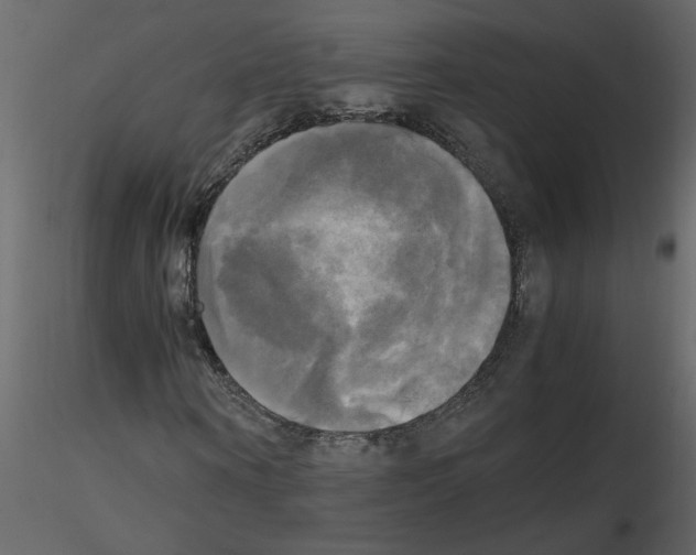 X0000115660866200912241357