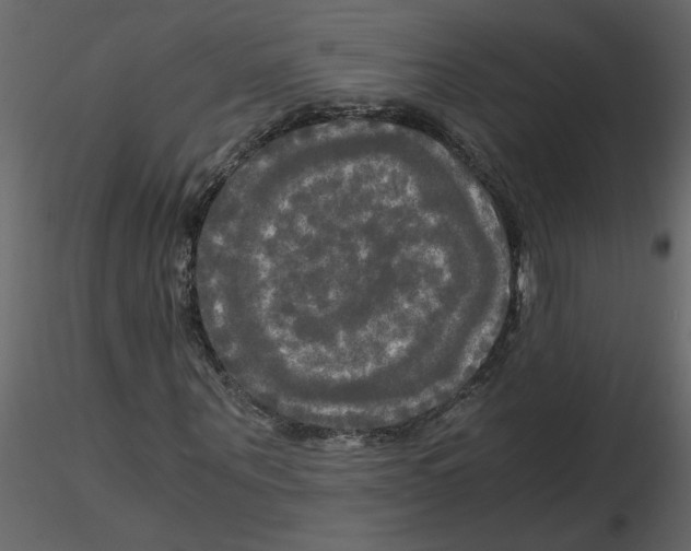 X0000115660867200912241357