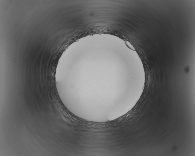 X0000115660868200912241357