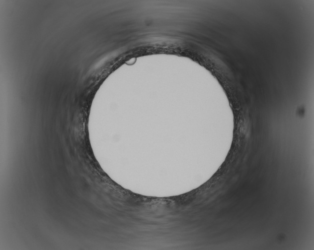 X0000115660869200912241357