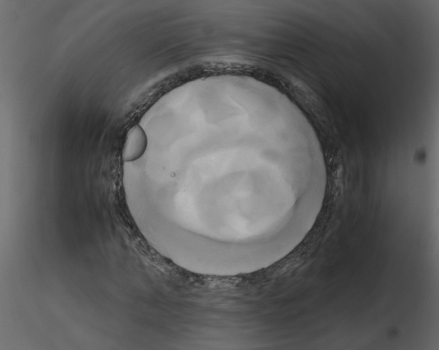 X0000115660870200912241357