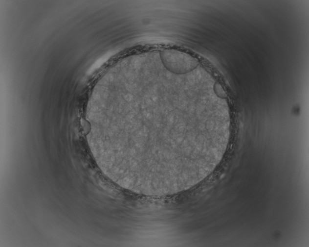 X0000115660871200912241357