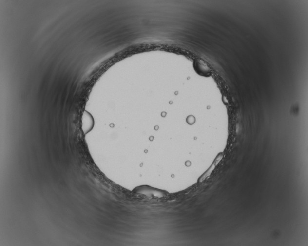 X0000115660872200912241357