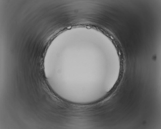 X0000115660873200912241356