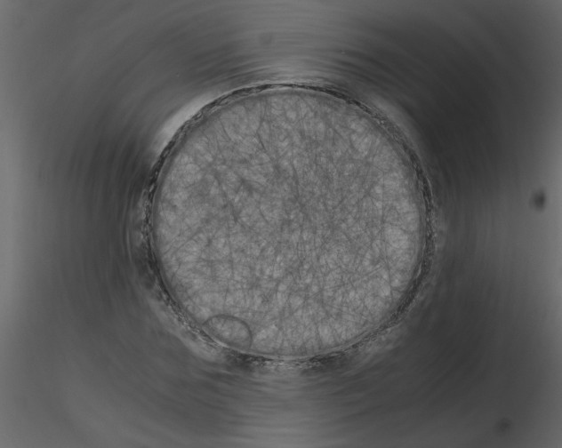 X0000115660875200912241356