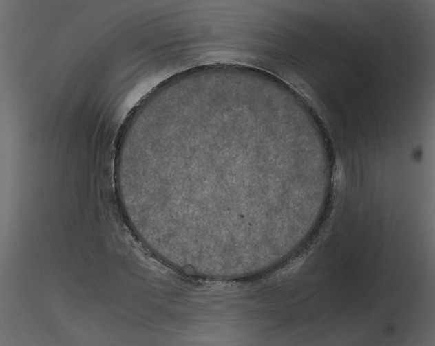 X0000115660877200912241356