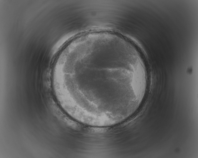 X0000115660878200912241356