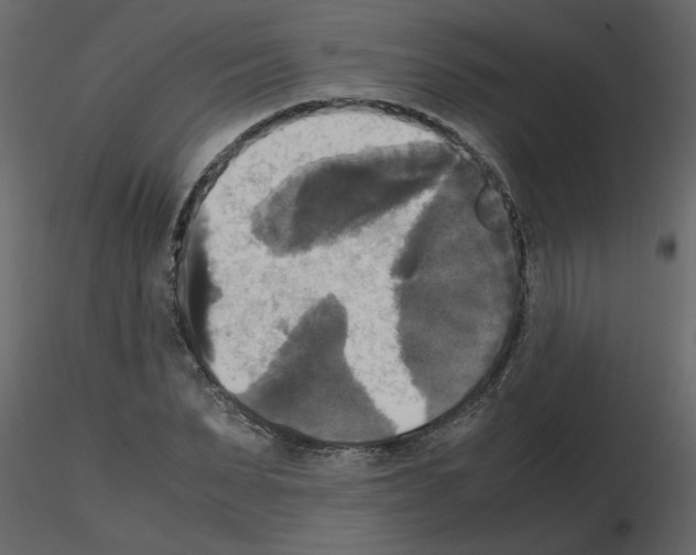 X0000115660879200912241356