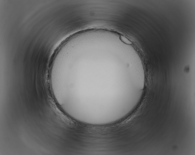 X0000115660880200912241356