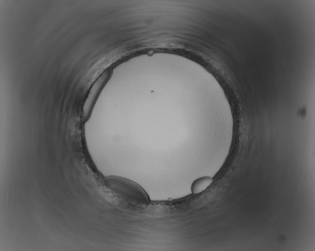 X0000115660881200912241356