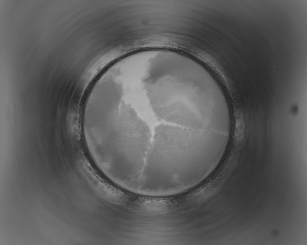 X0000115660882200912241356